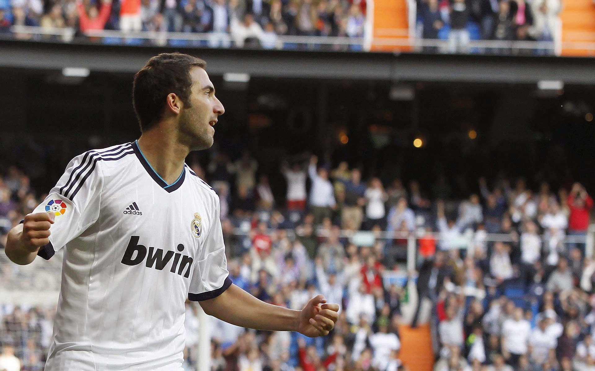 体育产业迎来黄金发展期,政策红利与市场需求双轮驱动